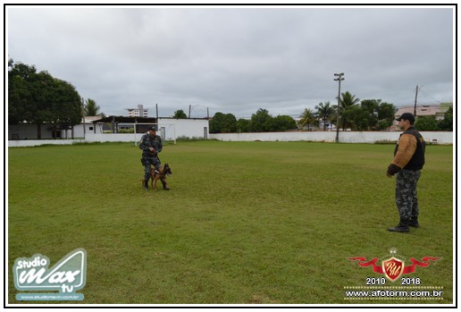 rolim de moura
